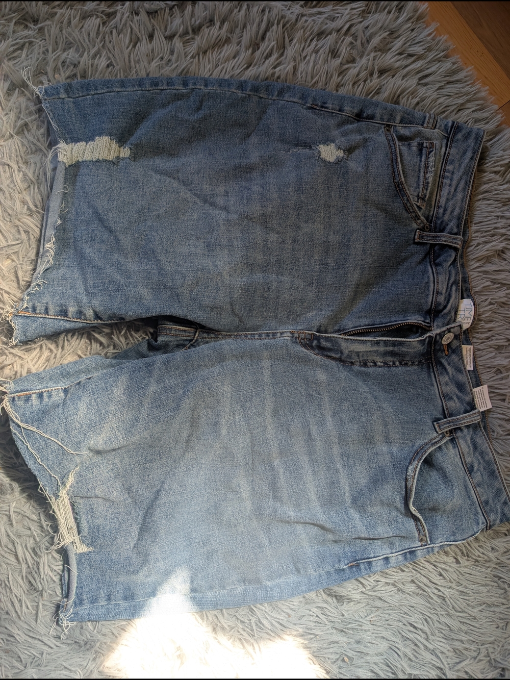 Time and Tru Light Blue Distressed Denim Jean Shorts